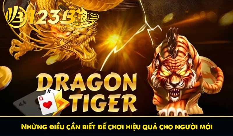 Những điều cần biết để chơi hiệu quả cho người mới